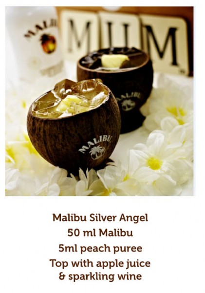 Malibu-3